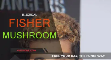 Jordan Fisher: Mushroom or Man?