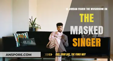 Is Jordan Fisher The Mushroom on The Masked Singer?