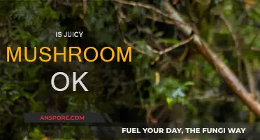 Juicy Mushrooms: Safe or Unsafe?