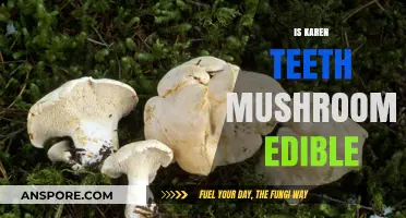 Are Karen Teeth Mushrooms Safe to Eat? A Comprehensive Guide