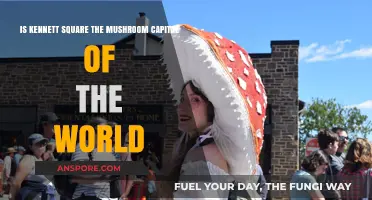 Kennett Square's Claim: The Mushroom Capital of the World?