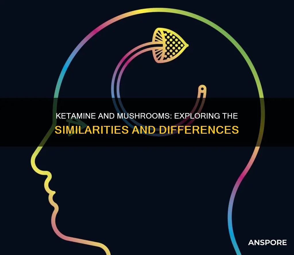 is ketamine a mushroom