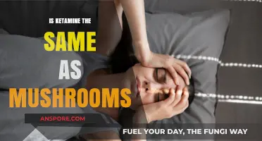 Ketamine vs. Mushrooms: Unraveling the Differences and Similarities