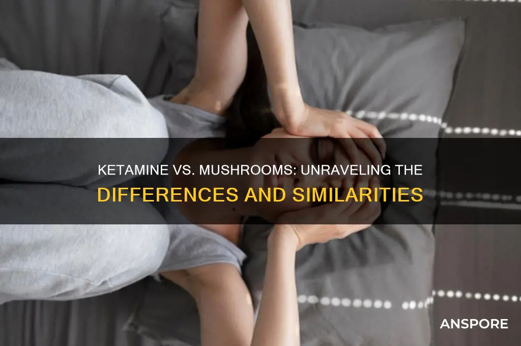 is ketamine the same as mushrooms