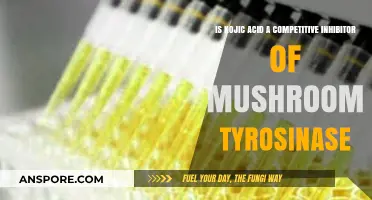 Kojic Acid vs. Mushroom Tyrosinase: Competitive Inhibition Explained