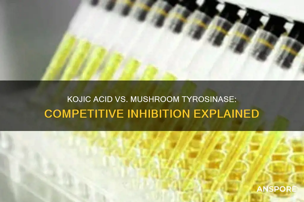 is kojic acid a competitive inhibitor of mushroom tyrosinase