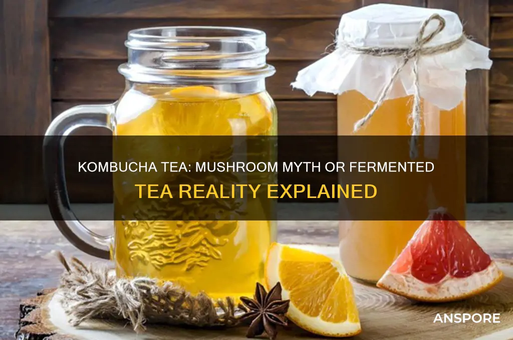 is kombucha tea made from mushrooms