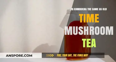 Kombucha vs. Mushroom Tea: Unraveling the Ancient Fermented Beverage Mystery