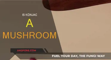 Konjac: Friend or Fungus?