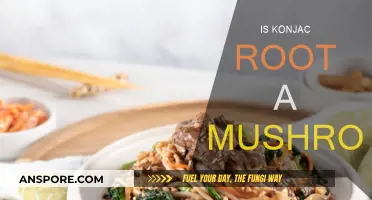 Konjac Root: Mushroom or Not?