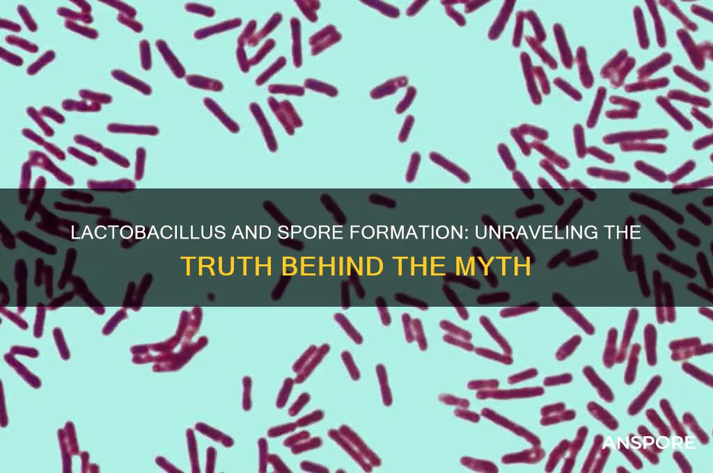 is lactobacillus spore forming