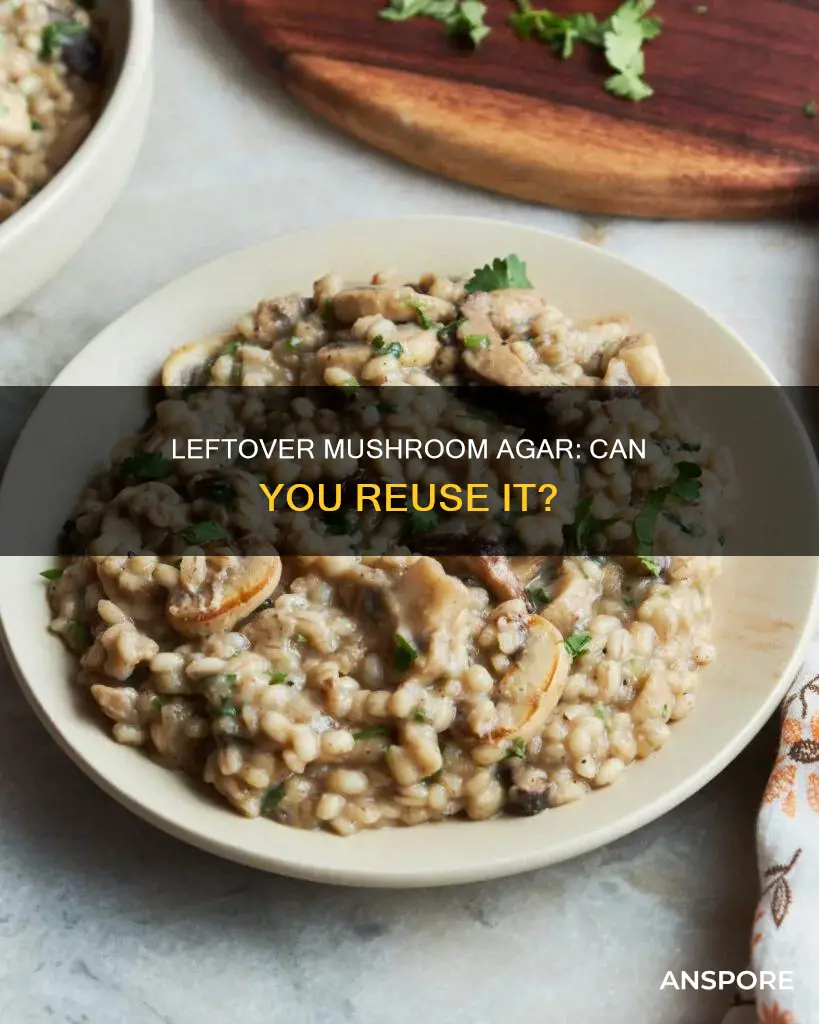 is leftover mushroom agar