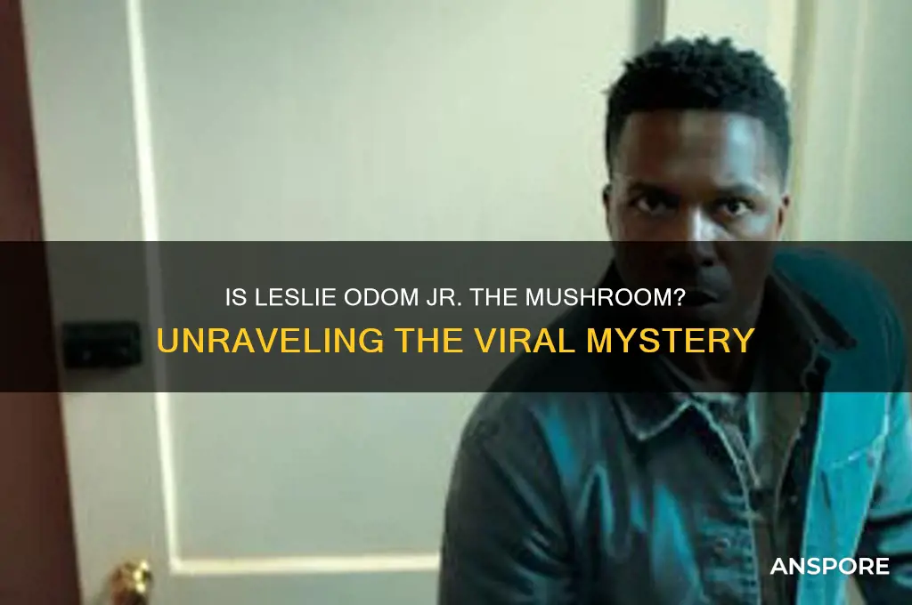 is leslie odom jr the mushroom