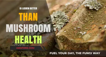 Lichen vs. Mushroom: Which Offers Superior Health Benefits?