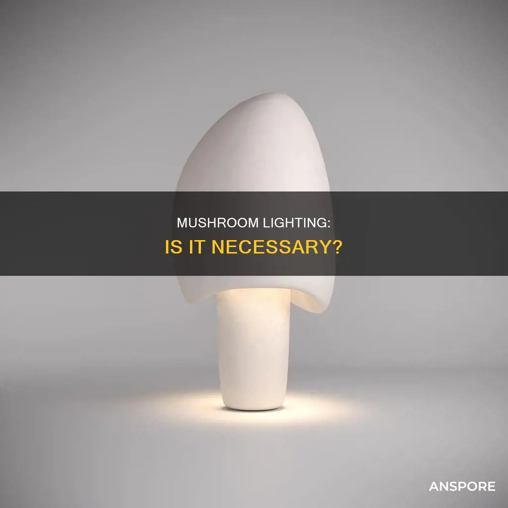 is lighting necessary mushrooms