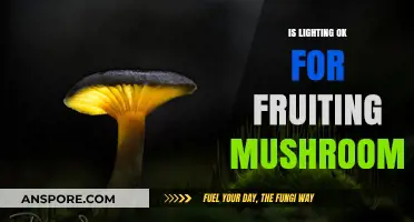 Is Lighting Necessary for Fruiting Mushrooms? A Grower's Guide