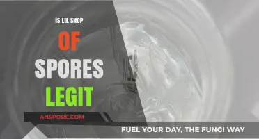 Is Lil Shop of Spores Legit? A Comprehensive Review and Analysis