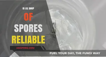 Is Lil Shop of Spores Reliable? A Trustworthy Review