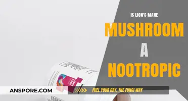 Lion's Mane Mushroom: Unlocking Cognitive Potential as a Natural Nootropic?