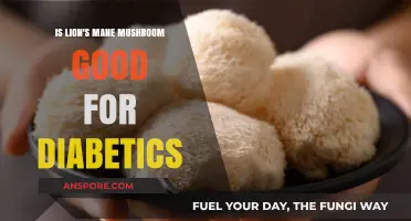 Lion's Mane Mushroom Benefits: A Natural Aid for Diabetic Health?