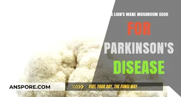 Lion's Mane Mushroom: Potential Benefits for Parkinson's Disease Patients