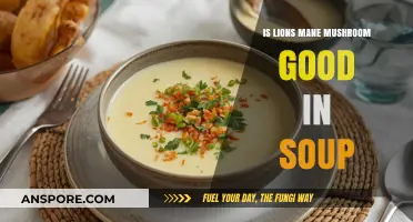 Lion's Mane Mushroom Soup: Benefits, Flavor, and Recipe Ideas