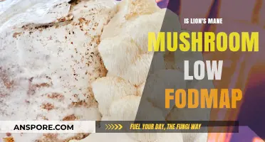 Lion's Mane Mushroom: A Low FODMAP Superfood Option?
