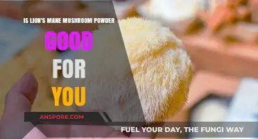 Lion's Mane Mushroom Powder: Unlocking Cognitive Health Benefits and Wellness