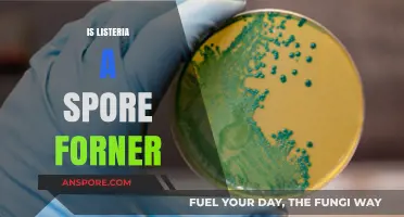 Listeria: Spore Former or Not? Unraveling the Bacterial Mystery