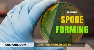Listeria Spore Formation: Unraveling the Truth Behind This Foodborne Pathogen