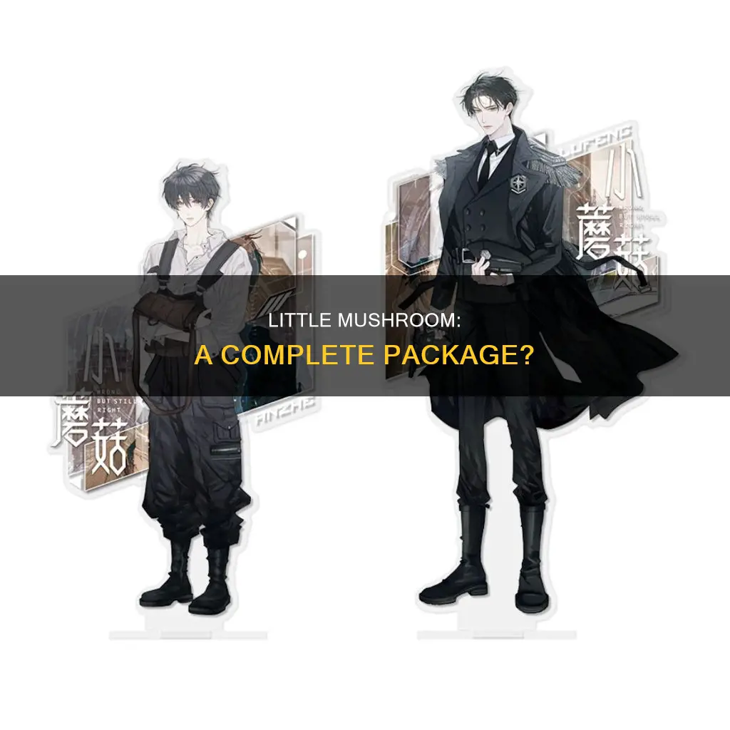 is little mushroom complete