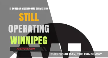 Is Loveday Mushrooms on Mission Still Operating in Winnipeg?