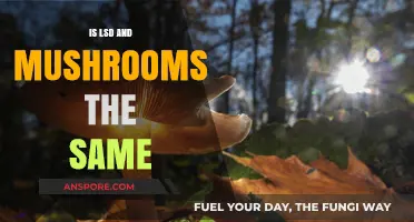 LSD vs. Mushrooms: Unraveling the Differences and Similarities