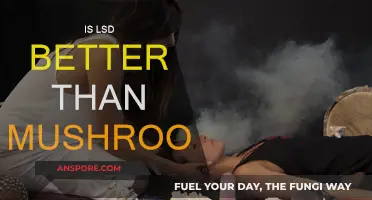 Psychedelics: LSD vs. Mushrooms — Which is Better?