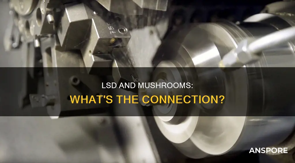 is lsd made from mushrooms