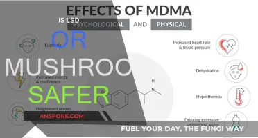 Psychedelics: Exploring the Safety of LSD and Mushrooms