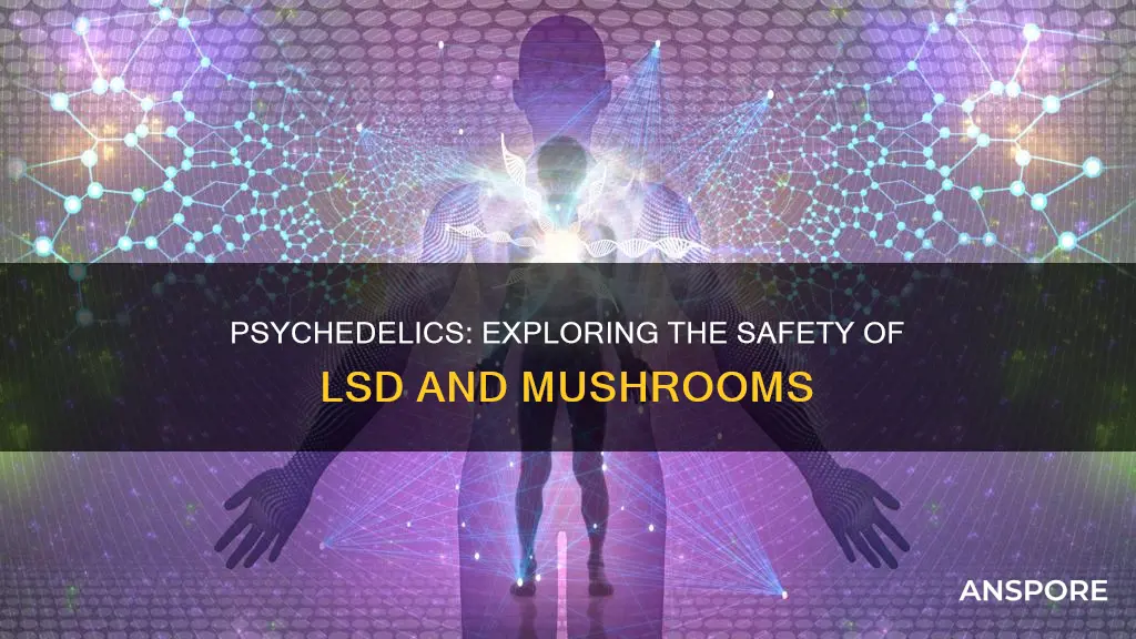 is lsd or mushrooms safer