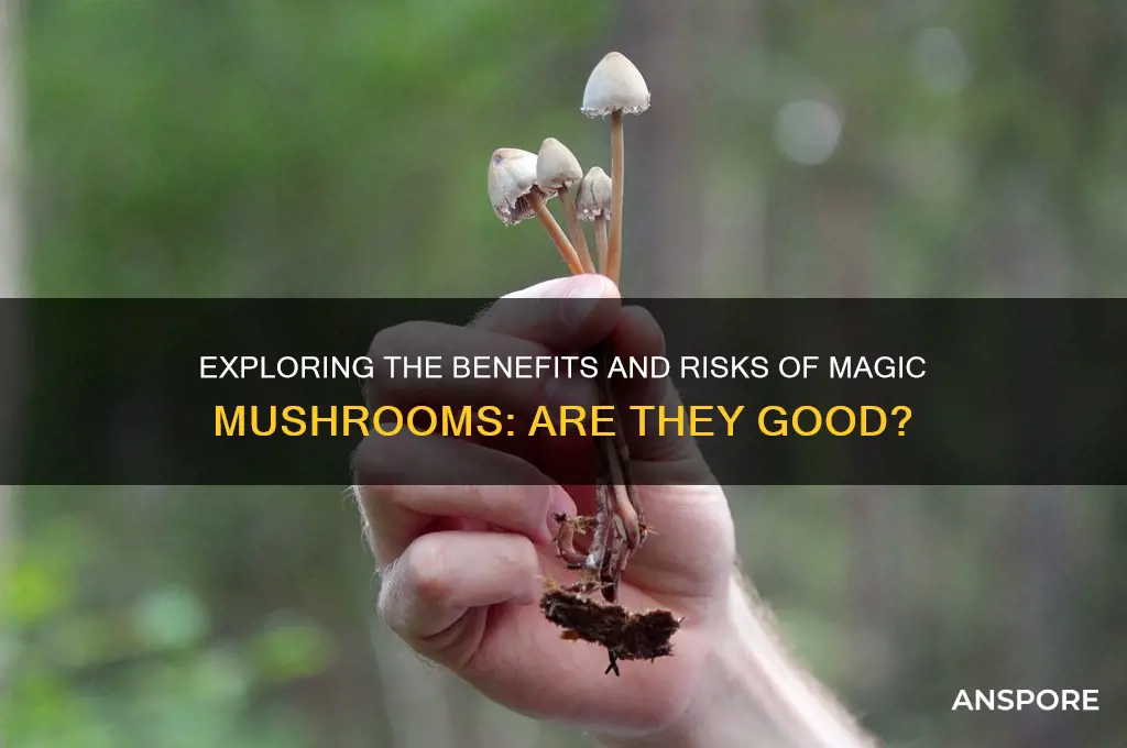is magic mushroom good