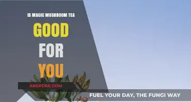 Magic Mushroom Tea: Health Benefits, Risks, and Wellness Insights