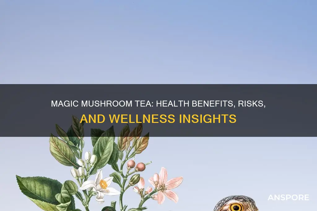 is magic mushroom tea good for you