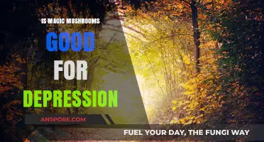 Magic Mushrooms and Depression: Exploring Psilocybin's Potential Benefits