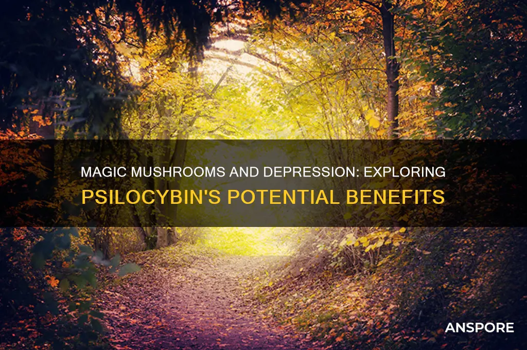 is magic mushrooms good for depression