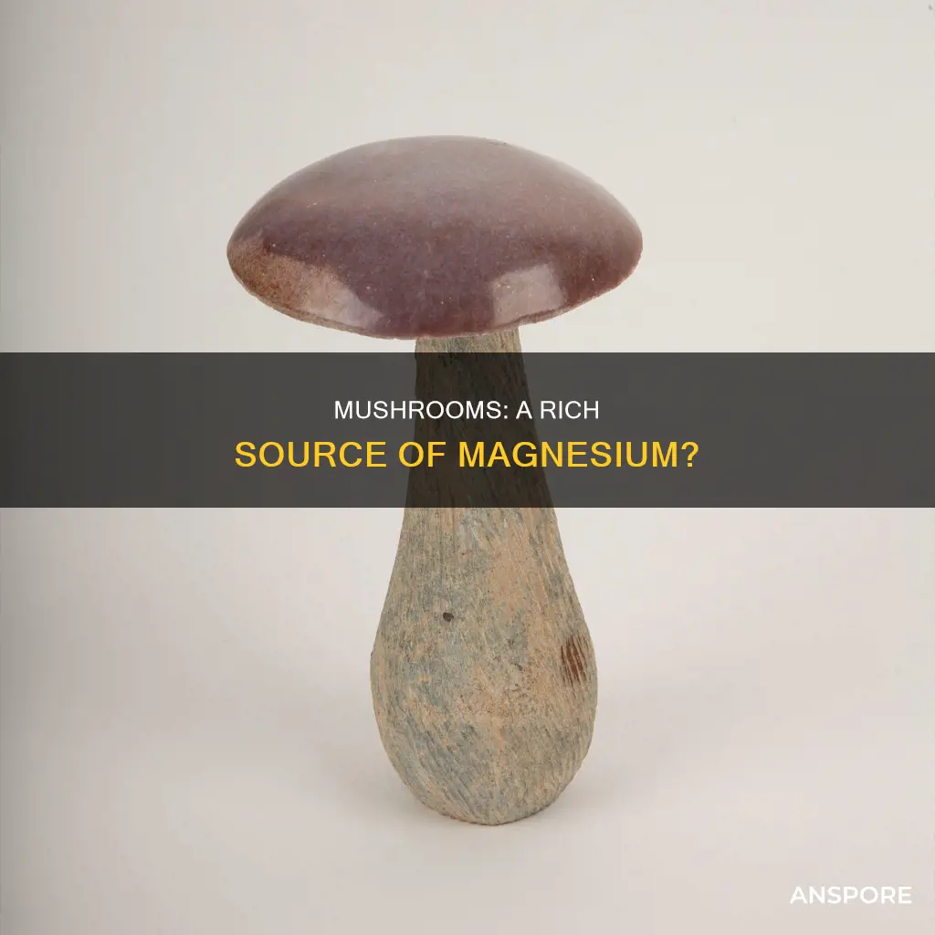 is magnesium found in mushrooms