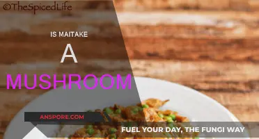 Maitake: A Mushroom with Medicinal Properties