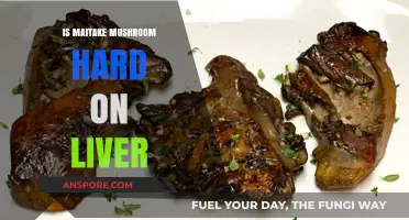 Maitake Mushroom and Liver Health: Potential Risks Explained