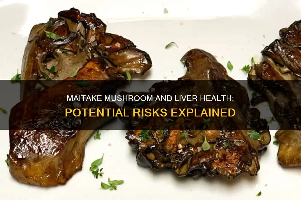 is maitake mushroom hard on liver