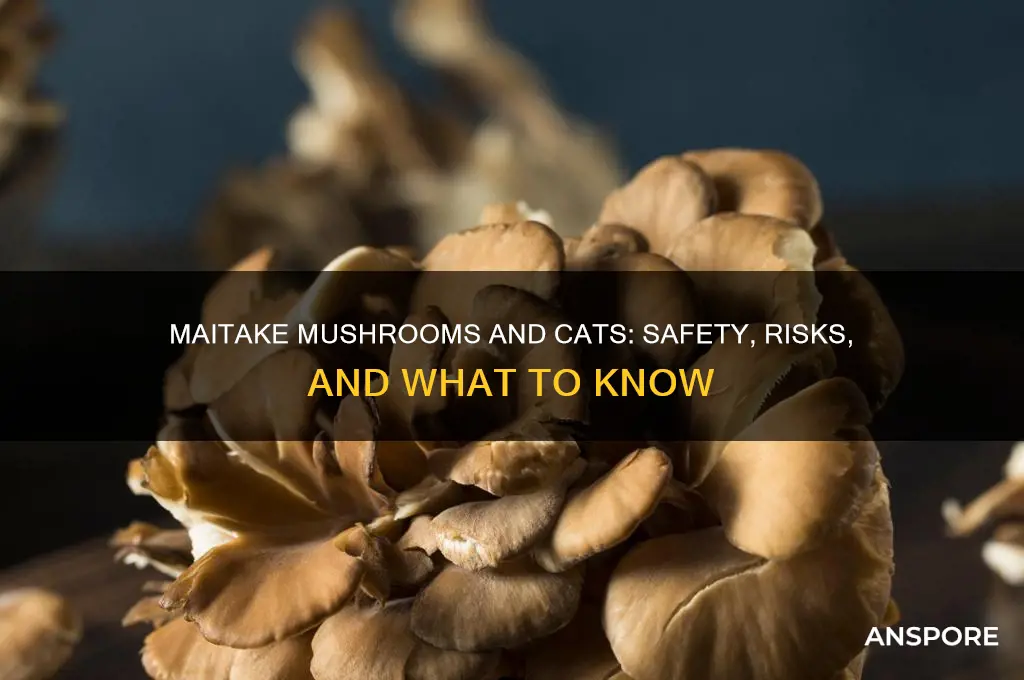 is maitake mushroom safe for cats