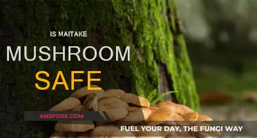 Maitake Mushrooms: Are They Safe to Eat?