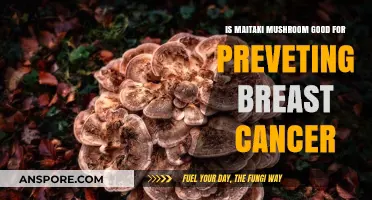 Maitake Mushroom's Potential Role in Breast Cancer Prevention: What Research Says