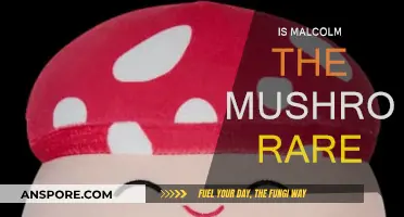 The Rarity of Malcolm Mushroom: A Fun Fact Check